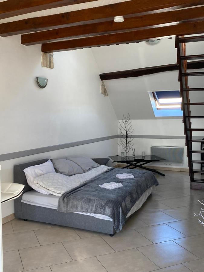 Superbe Appartement, General Allix A Sens Luaran gambar